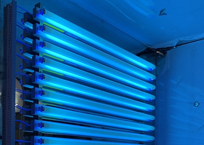 如何通過UV紫外光照實驗箱構(gòu)建動物皮膚光老化模型？