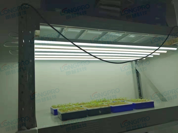 案例發(fā)布—華南師范大學(xué).jpg 案例發(fā)布—華南師范大學(xué).jpg